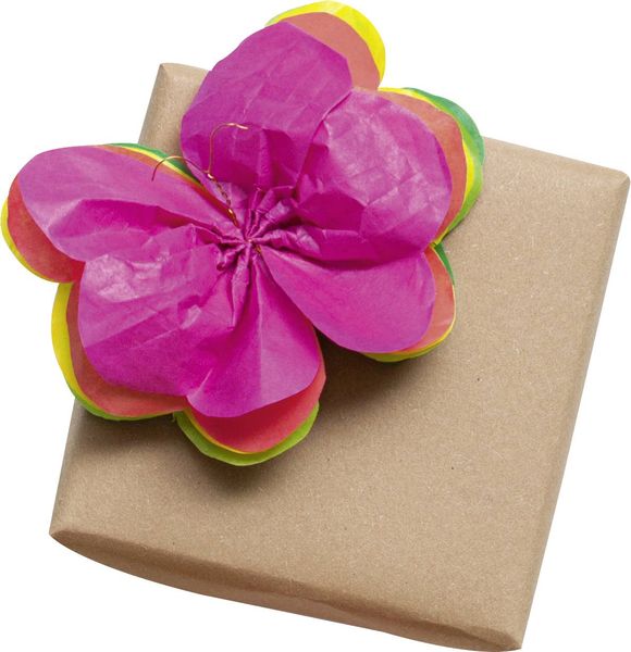Produktbild: Folia Blumenseide 20g/m&sup2;, 50x70cm, 10 Bogen, wei&szlig;