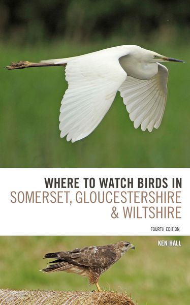 Produktbild: Where To Watch Birds in Somerset, Gloucestershire and Wiltshire