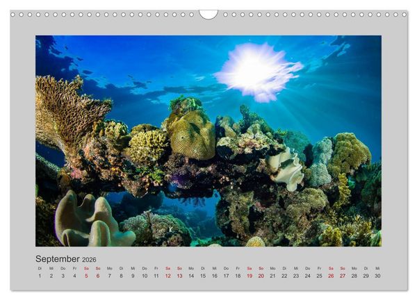 Produktbild: Korallen-Riffe Tauchertr&auml;ume (Wandkalender 2026 DIN A3 quer), CALVENDO Monatskalender