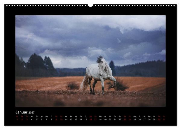 Produktbild: Die Faszinierende Welt der Pferde (hochwertiger Premium Wandkalender 2027 DIN A2 quer), Kunstdruck in Hochglanz