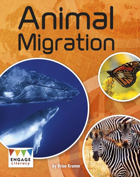Produktbild: Animal Migration