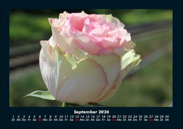 Produktbild: Blumentr&auml;ume 2026 Fotokalender DIN A4