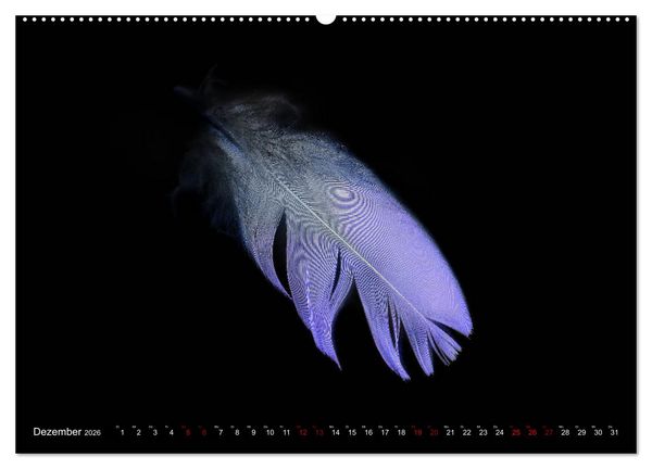 Produktbild: Federleichte Momente (Wandkalender 2026 DIN A2 quer), CALVENDO Monatskalender