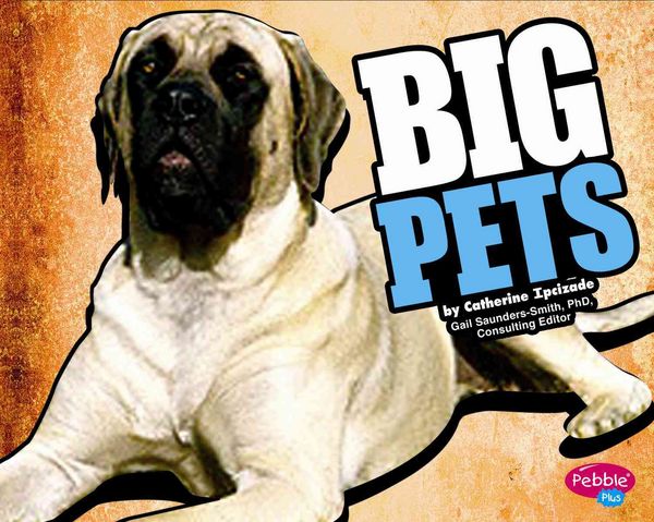 Produktbild: Big Pets