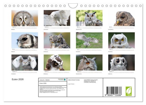 Produktbild: Eulen 2026 (Wandkalender 2026 DIN A4 quer), CALVENDO Monatskalender