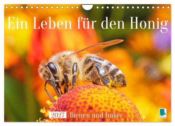 Produktbild: Ein Leben f&uuml;r den Honig: Bienen und Imker (Wandkalender 2027 DIN A4 quer), CALVENDO Monatskalender
