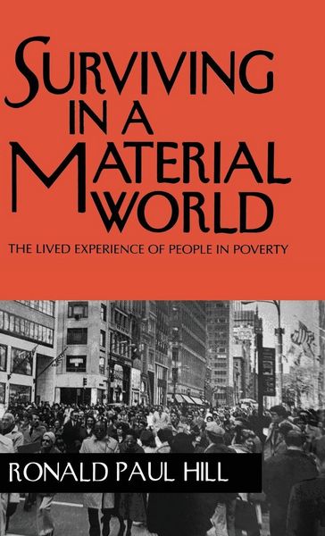 Produktbild: Surviving in a Material World