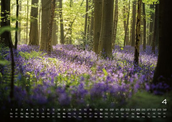 Produktbild: Wald - Erholung f&uuml;r Mensch und Tier - 2027 - Kalender DIN A2