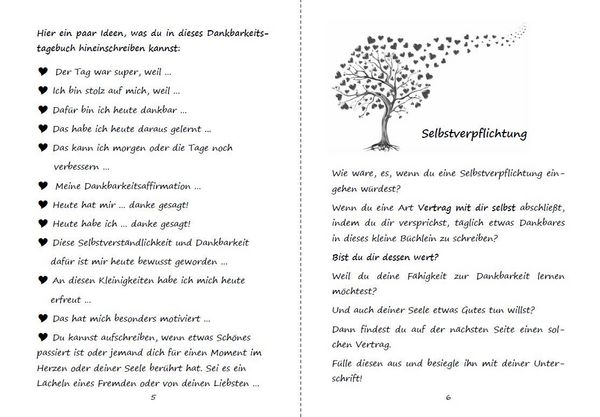 Produktbild: Dankbarkeitstagebuch