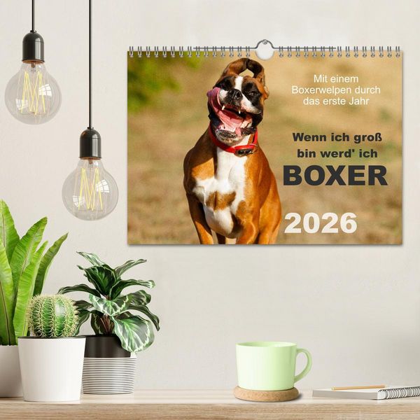 Produktbild: Wenn ich gro&szlig; bin werd' ich Boxer (Wandkalender 2026 DIN A4 quer), CALVENDO Monatskalender