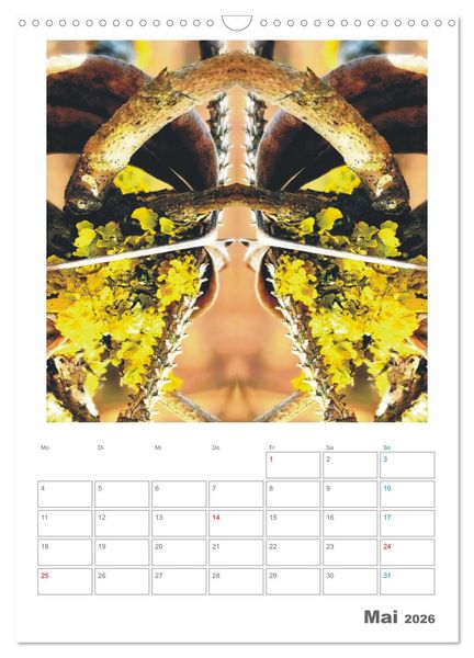 Produktbild: Axis Mater Naturae (Wandkalender 2026 DIN A3 hoch), CALVENDO Monatskalender