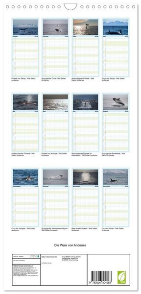 Produktbild: Familienplaner 2026 - Die Wale von Andenes mit 5 Spalten (Wandkalender, 21 x 45 cm) CALVENDO