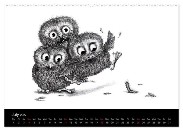 Produktbild: owls & friends 2027 (High Quality Premium Wall Calendar 2027 DIN A2 landscape),CALVENDO 12 Month Wall Calendar