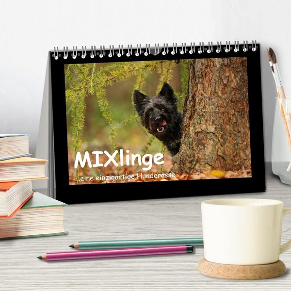 Produktbild: MIXlinge (Tischkalender 2027 DIN A5 quer), CALVENDO Monatskalender