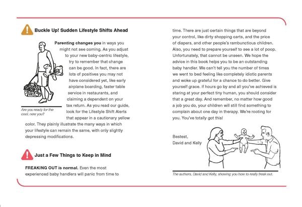 Produktbild: Safe Baby Handling Tips (Revised and Even Safer Edition)