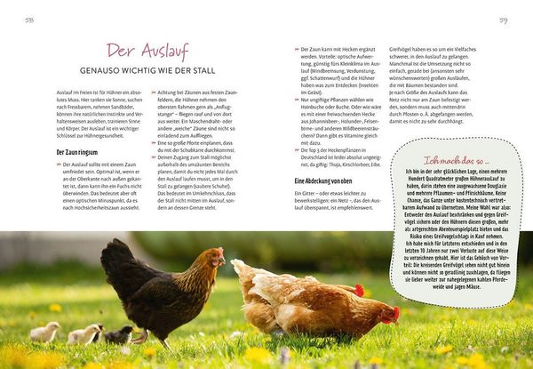 Produktbild: Im Garten gackert's