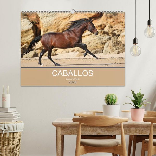 Produktbild: Caballos Spanische Pferde 2026 (Wandkalender 2026 DIN A2 quer), CALVENDO Monatskalender