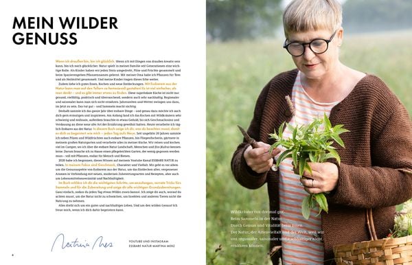 Produktbild: Wildkräuter – Bestimmen, Sammeln, Zubereiten