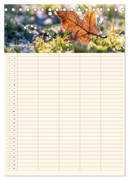 Produktbild: Mit Blick in den Garten (Tischkalender 2026 DIN A5 hoch), CALVENDO Monatskalender