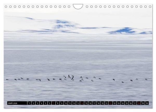 Produktbild: Spitzbergen - Arktische Impressionen (Wandkalender 2026 DIN A4 quer), CALVENDO Monatskalender