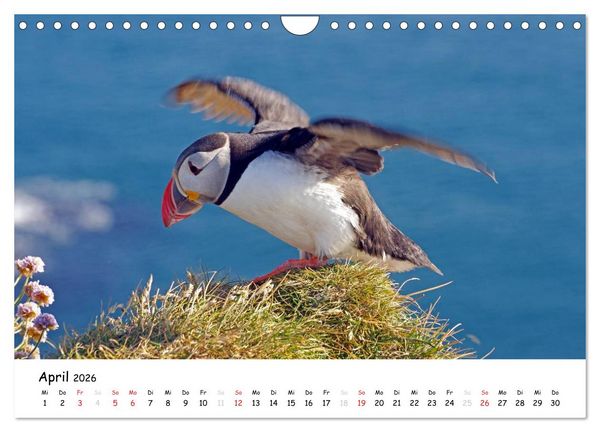 Produktbild: Die Lofoten - Magie des Lichtes (Wandkalender 2026 DIN A4 quer), CALVENDO Monatskalender
