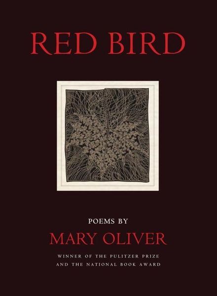 Produktbild: Red Bird