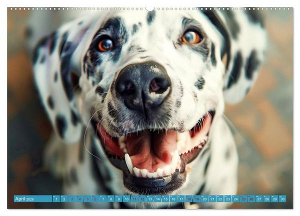 Produktbild: L&auml;chelnde Hunde sind wie Sonnenschein auf vier Pfoten (Wandkalender 2026 DIN A2 quer), CALVENDO Monatskalender