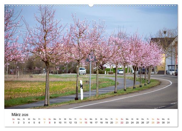 Produktbild: Die Hufeisengemeinde Br&uuml;hl (Wandkalender 2026 DIN A2 quer), CALVENDO Monatskalender