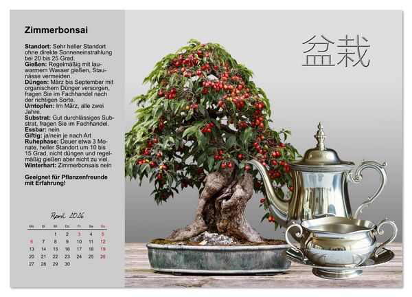 Produktbild: Bestes Raumklima durch Zimmerpflanzen (Wandkalender 2026 DIN A3 quer), CALVENDO Monatskalender