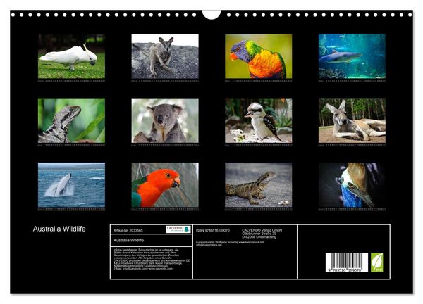 Produktbild: Australia Wildlife (Wandkalender 2026 DIN A3 quer), CALVENDO Monatskalender