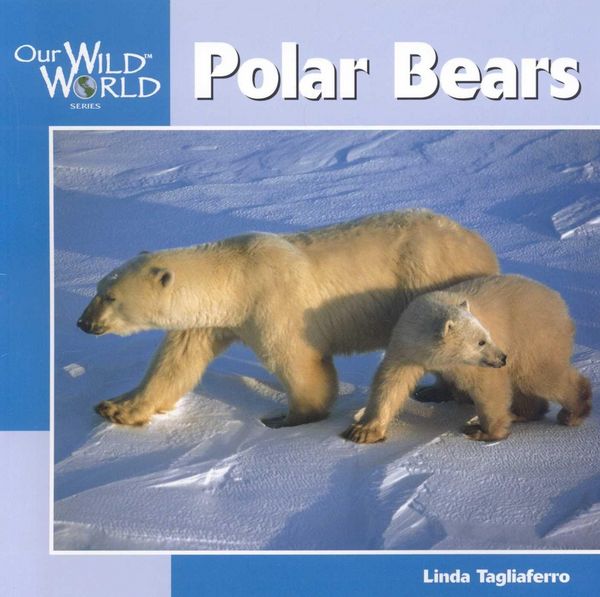 Produktbild: Polar Bears