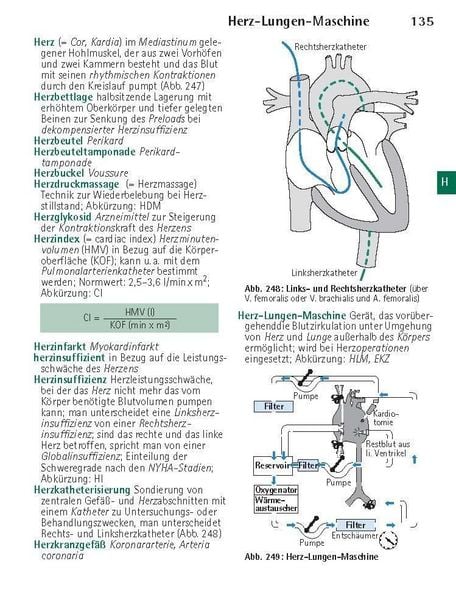 Produktbild: W&ouml;rterbuch Medizin pocket : Kleines Lexikon - medizinische Fachbegriffe , Fremdw&ouml;rter und Terminologie