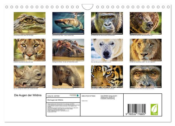 Produktbild: Die Augen der Wildnis (Wandkalender 2027 DIN A4 quer), CALVENDO Monatskalender