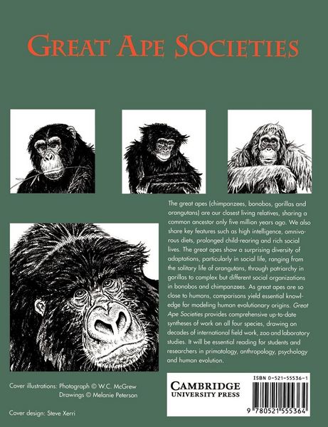 Produktbild: Great Ape Societies
