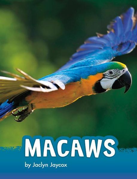 Produktbild: Macaws
