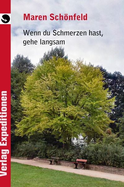 Produktbild: Wenn du Schmerzen hast, gehe langsam