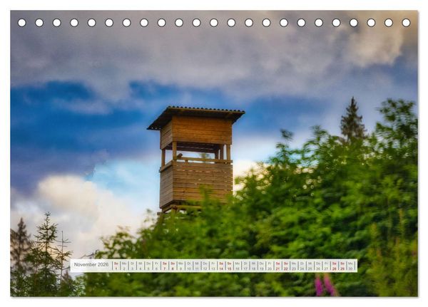 Produktbild: Traumhafte Waldstimmung am Rennsteig im Th&uuml;ringer Wald (Tischkalender 2026 DIN A5 quer), CALVENDO Monatskalender