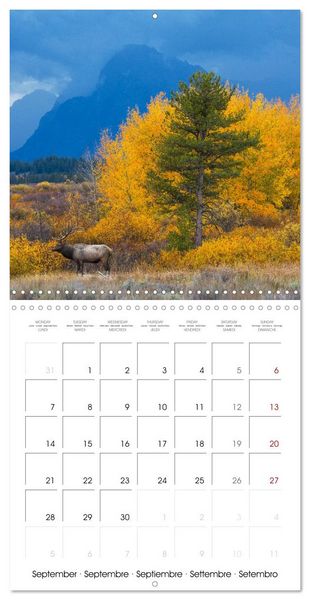 Produktbild: Teton National Park (Wall Calendar 2026 12 &times; 12 Inch) CALVENDO 12 Month Wall Calendar