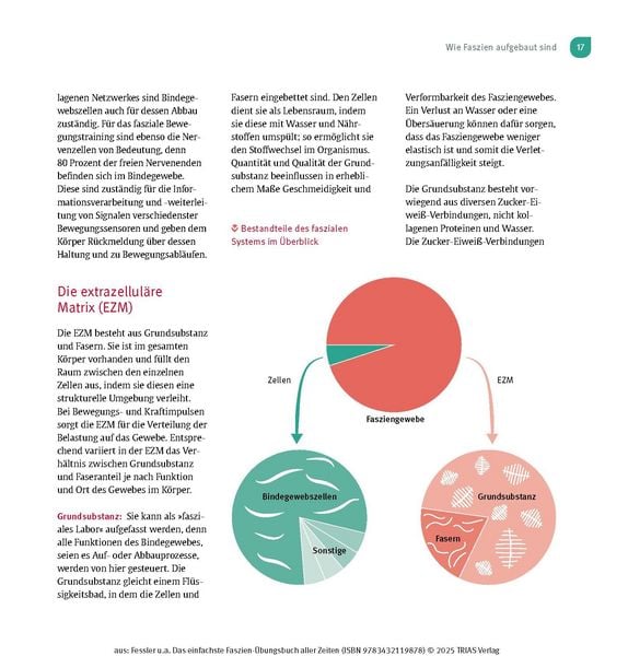 Produktbild: Das einfachste Faszien-&Uuml;bungsbuch aller Zeiten
