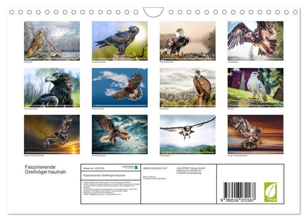 Produktbild: Faszinierende Greifv&ouml;gel hautnah (Wandkalender 2026 DIN A4 quer), CALVENDO Monatskalender