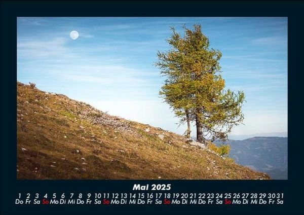 Produktbild: B&auml;ume 2025 Fotokalender DIN A5