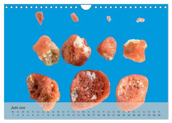 Produktbild: rosaroter korallensand (Wandkalender 2026 DIN A4 quer), CALVENDO Monatskalender