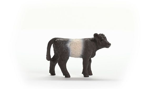 Produktbild: schleich&reg; Farm World Galloway Kalb 5,7cm