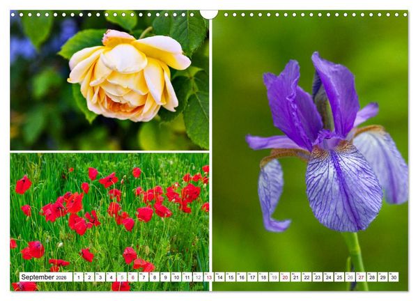 Produktbild: Chiemgau-Highlights (Wandkalender 2026 DIN A3 quer), CALVENDO Monatskalender