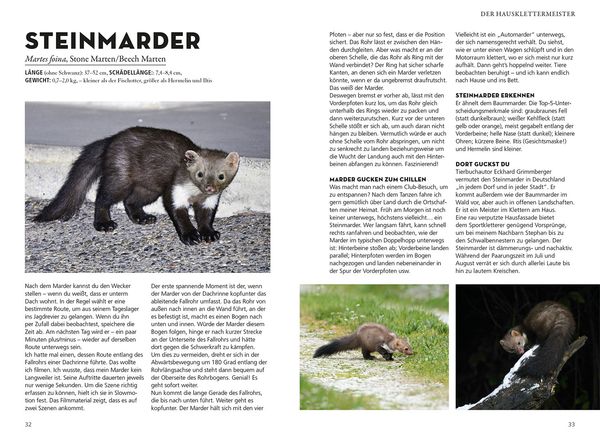 Produktbild: Die siehst du - Die Tiere um dich herum