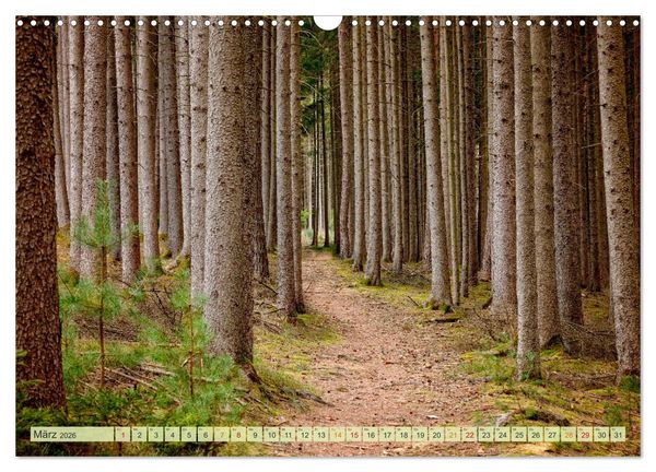 Produktbild: Wandern - die Welt erwartet Dich (Wandkalender 2026 DIN A3 quer), CALVENDO Monatskalender