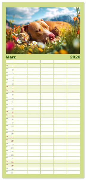 Produktbild: Familienplaner 2026 - Pit Bull Terrier. Zwischen Wildblumen und Gro&szlig;stadtglanz mit 5 Spalten (Wandkalender, 21 x 45 cm) CALVENDO