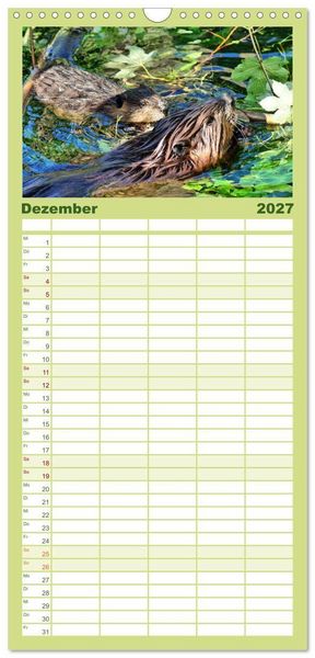 Produktbild: Familienplaner 2027 - Das Leben der Biber mit 5 Spalten (Wandkalender, 21 x 45 cm) CALVENDO