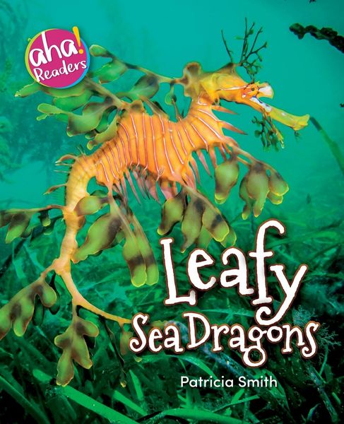 Produktbild: Leafy Sea Dragons