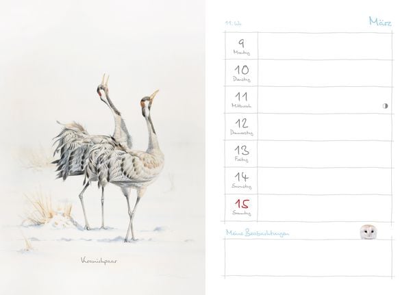 Produktbild: Mein Naturkalender 2026